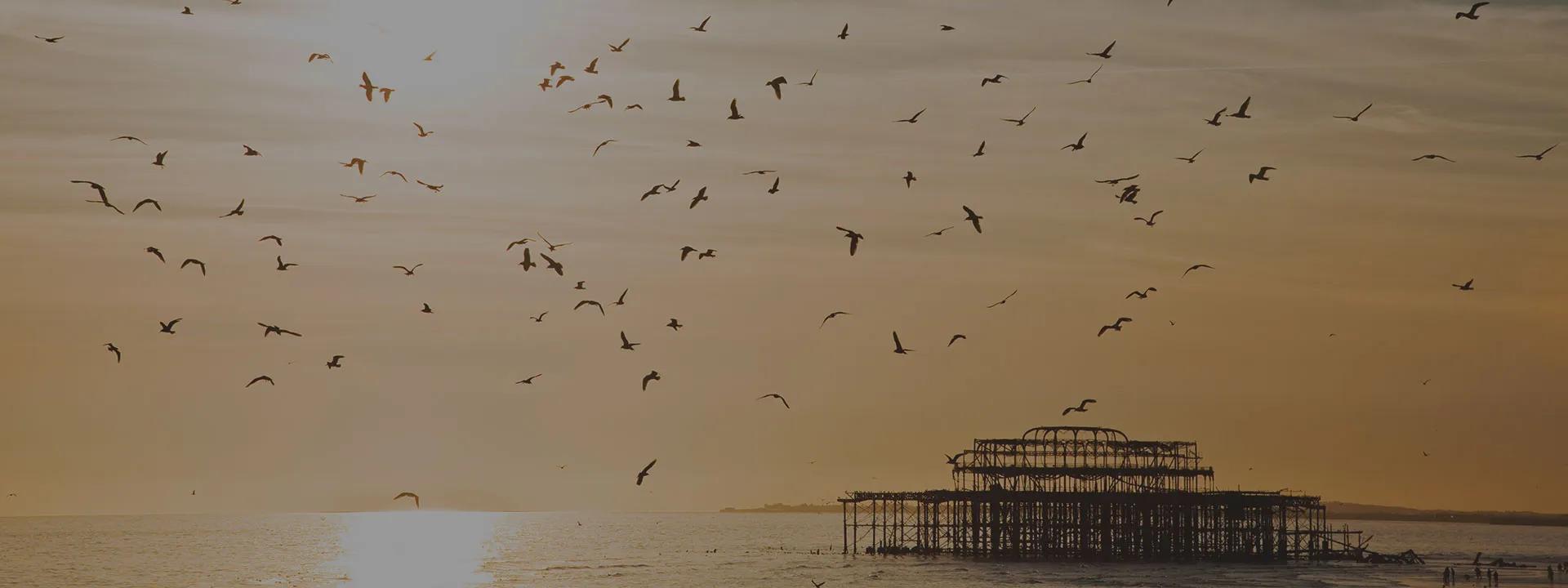 South East Area Header
