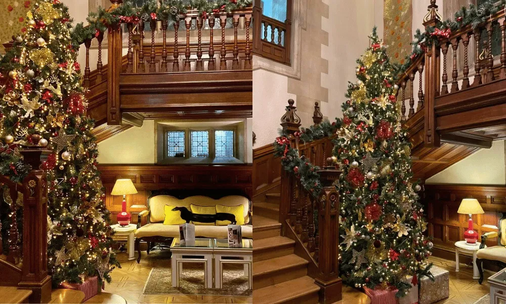 Christmas Party Nights