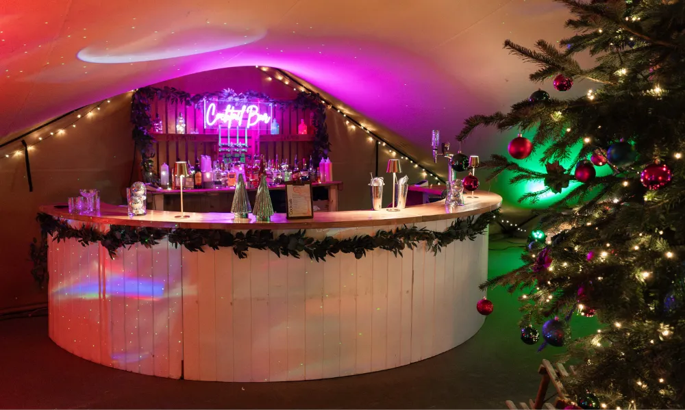 Exclusive Christmas Party Package