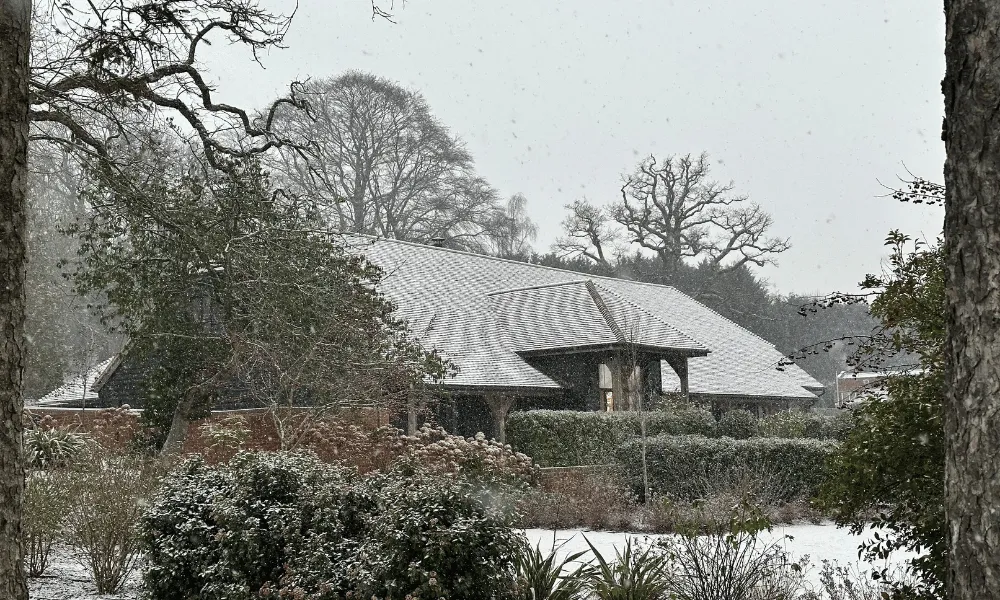 Private Hotel Party Night