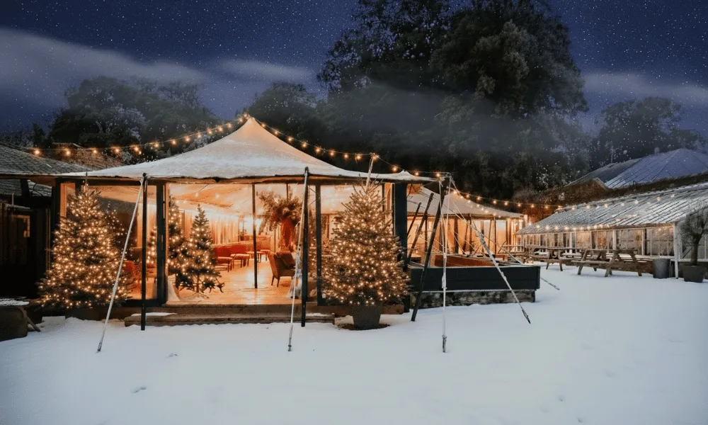 Shared Christmas Party Nights