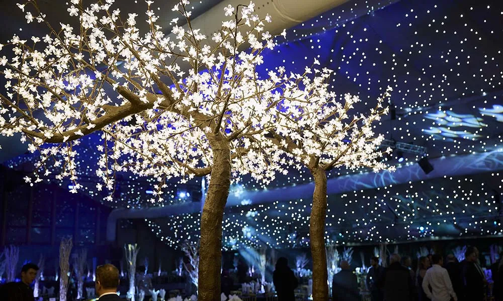 Winter Secret Garden (Shared)