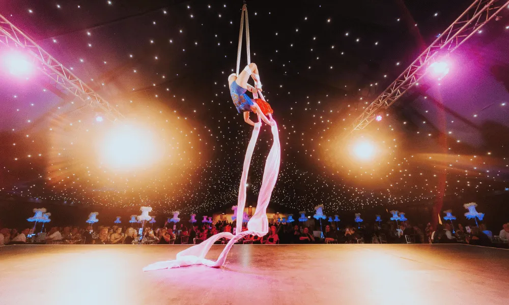 Roaring Twenties (Shared)