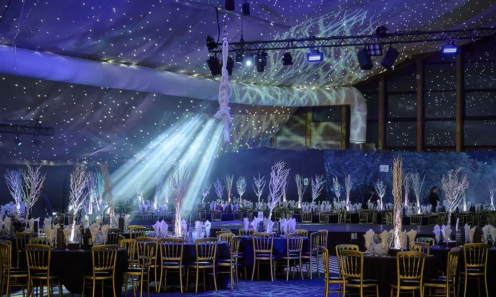 Winter Wonderland (Shared)