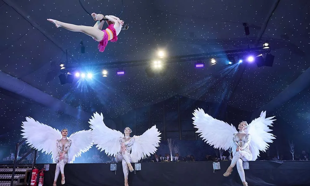 Winter Wonderland (Shared)