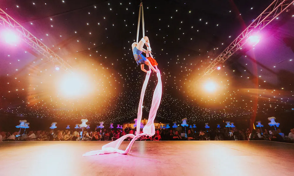 Private Roaring Twenties Party