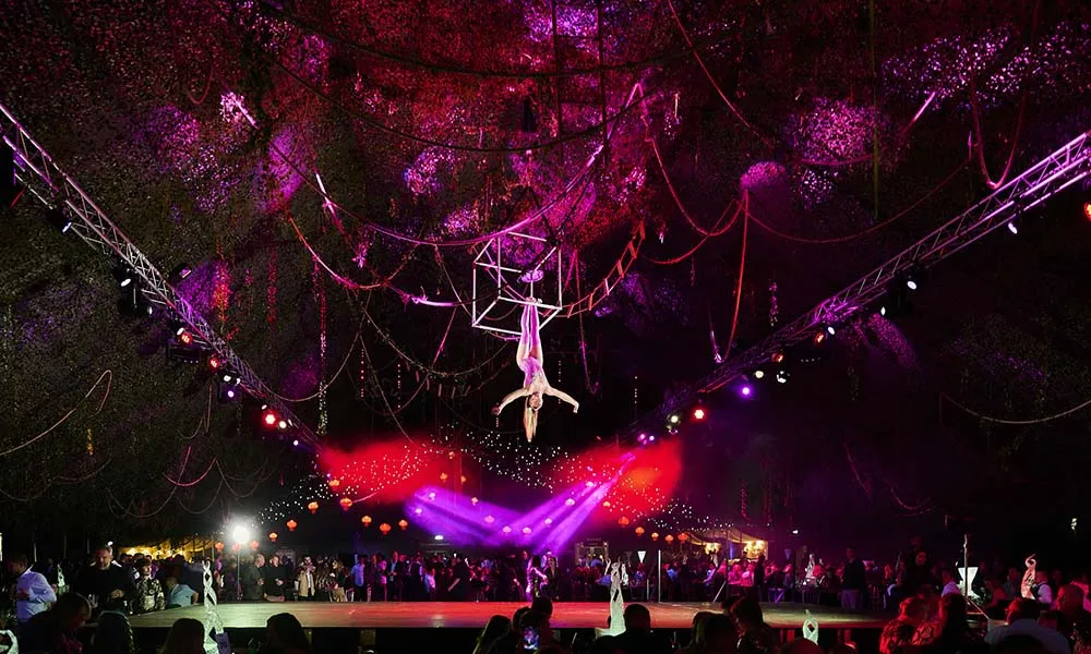 Electric Jungle (Private)