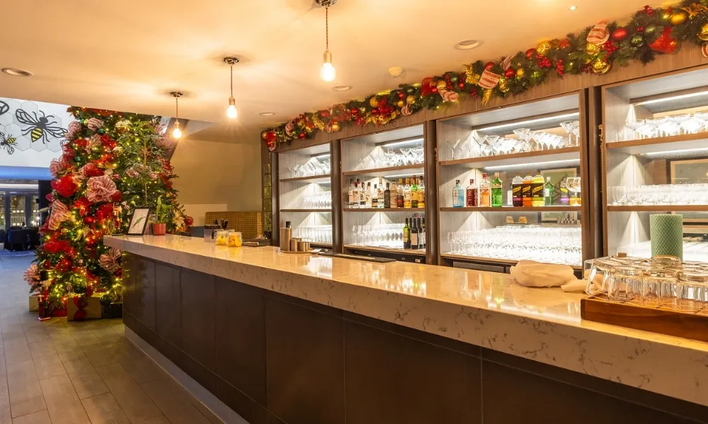 Christmas Party Night