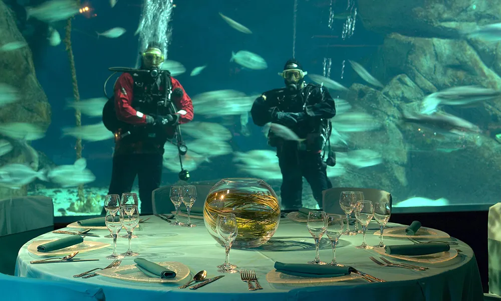 A great white Christmas (exclusive)