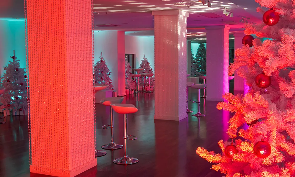 Festive Bespoke Parties (exclusive)