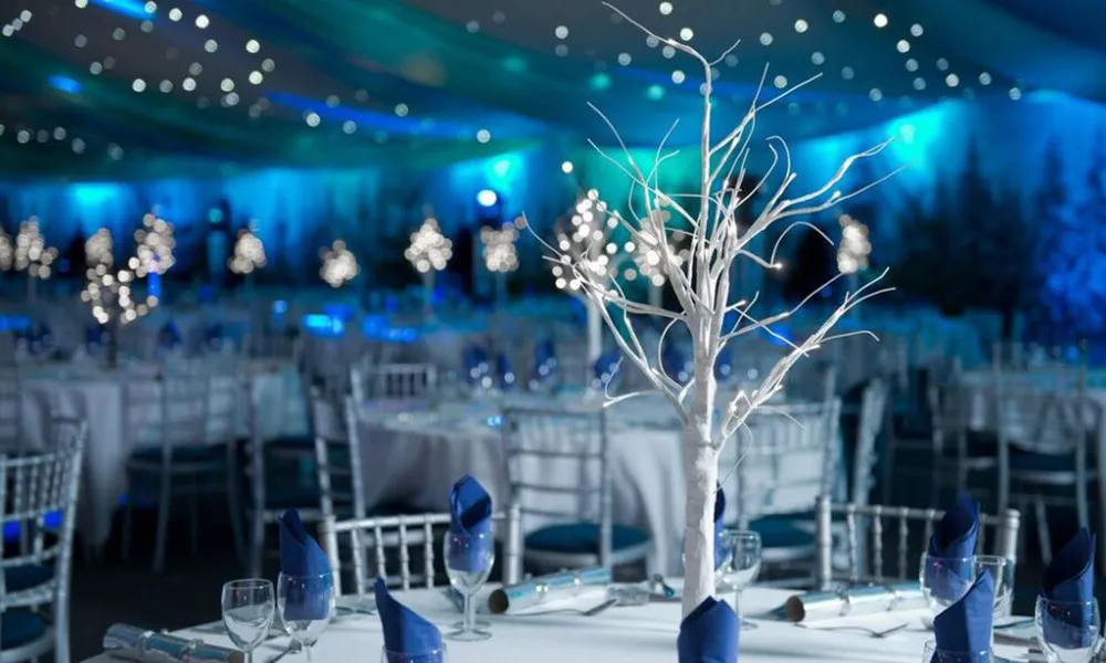 Lost in Oz Christmas Party