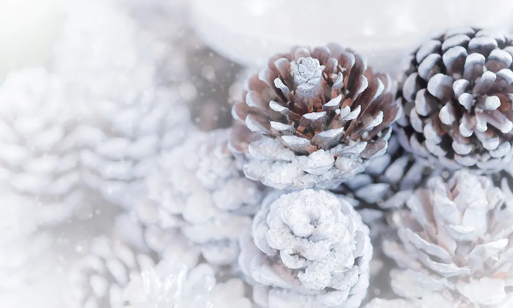 Magnifique Christmas Parties (exclusive)