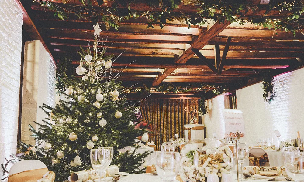 Christmas Party (exclusive)