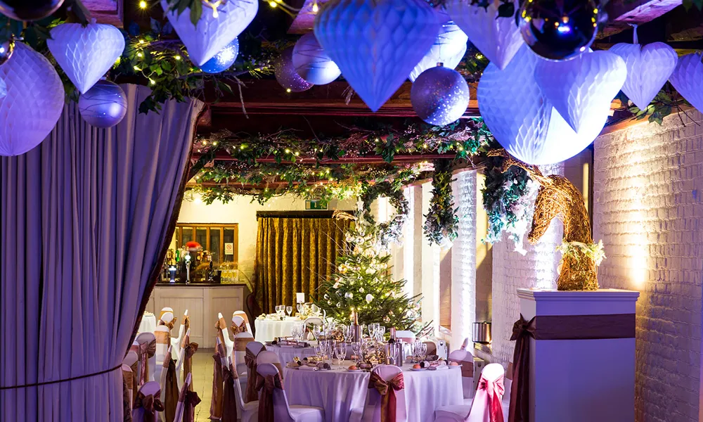 Christmas Party (exclusive)