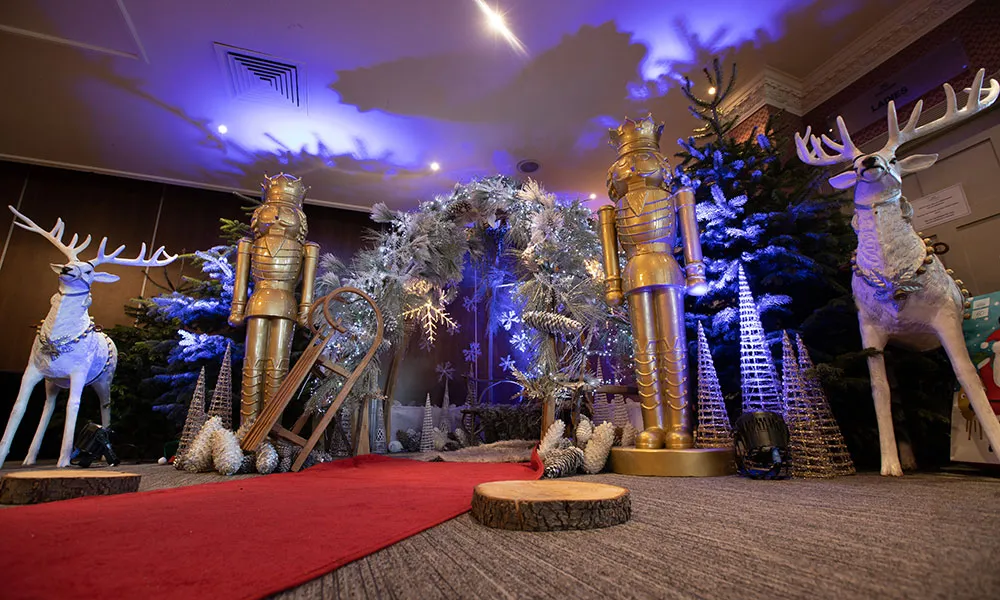 Festive Spectacular Private Parties 