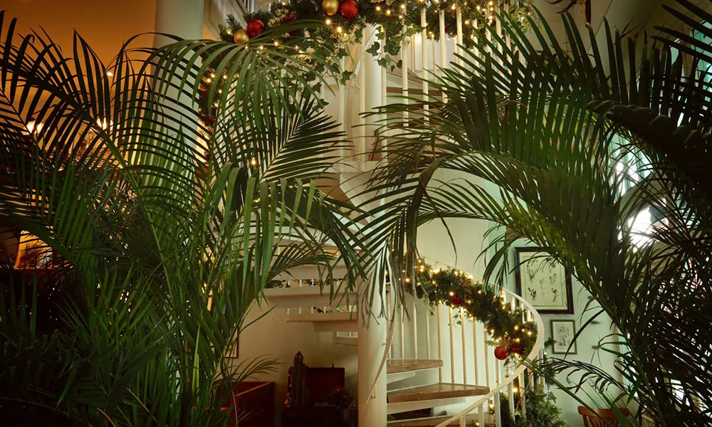 Flora & Forna Hideaway