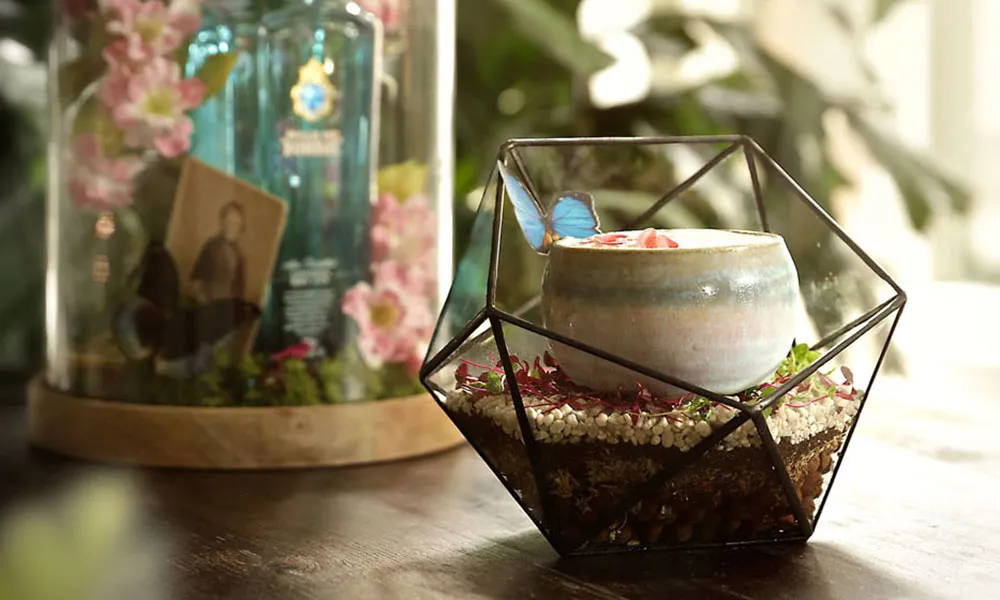 Flora & Forna Hideaway
