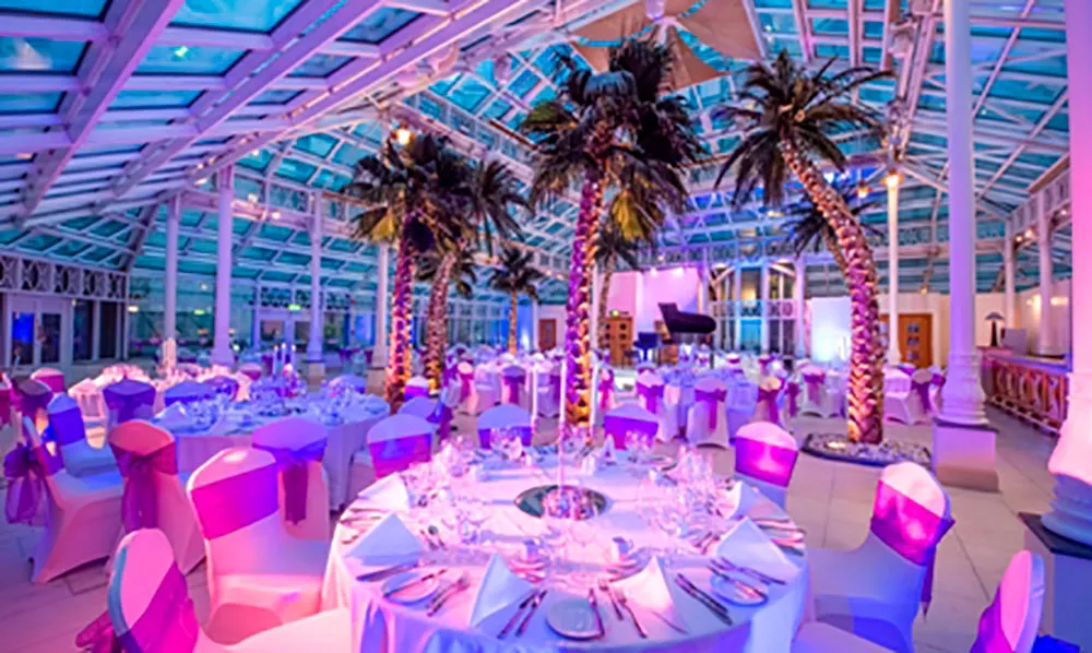Festive Party Nights (exclusive)