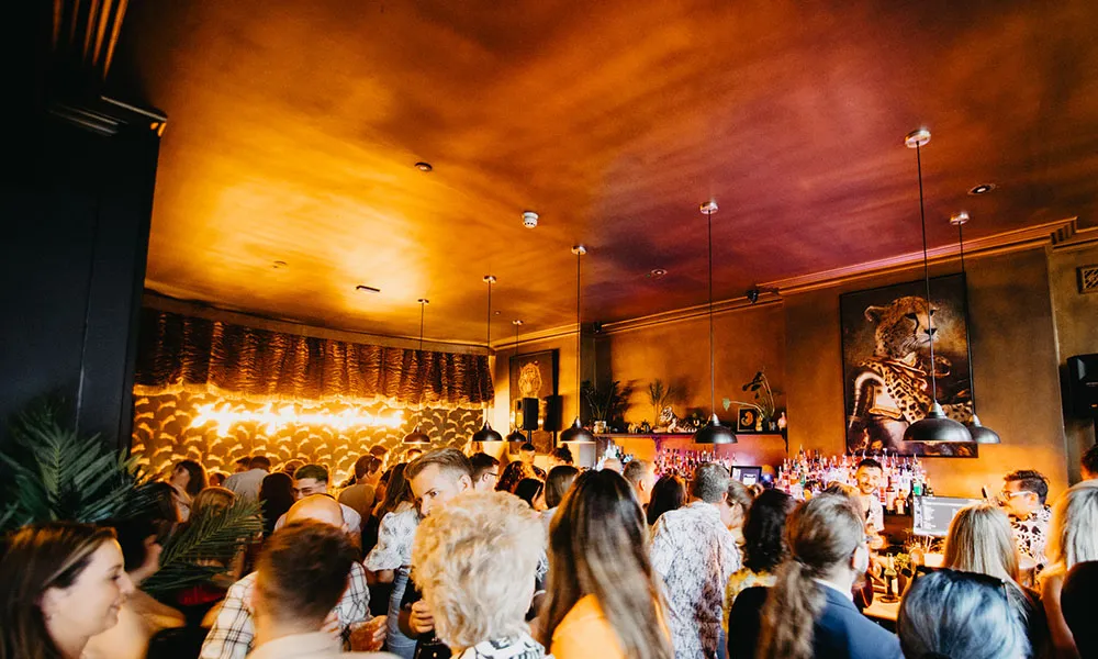 Naughty Cocktails & Christmas Parties