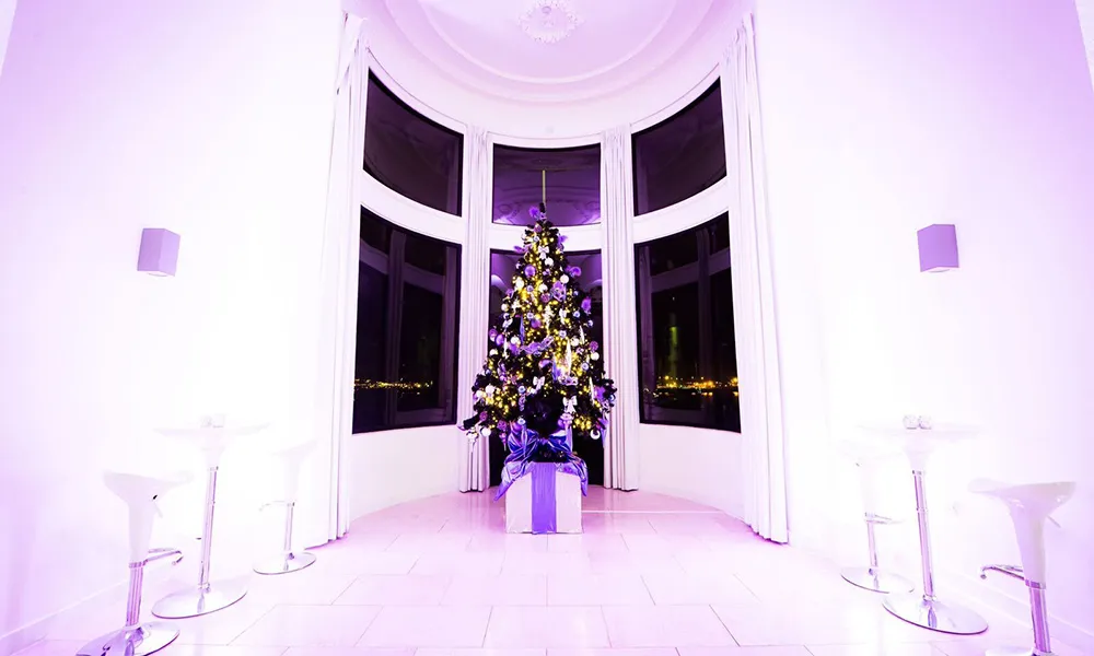 White Wonderland
