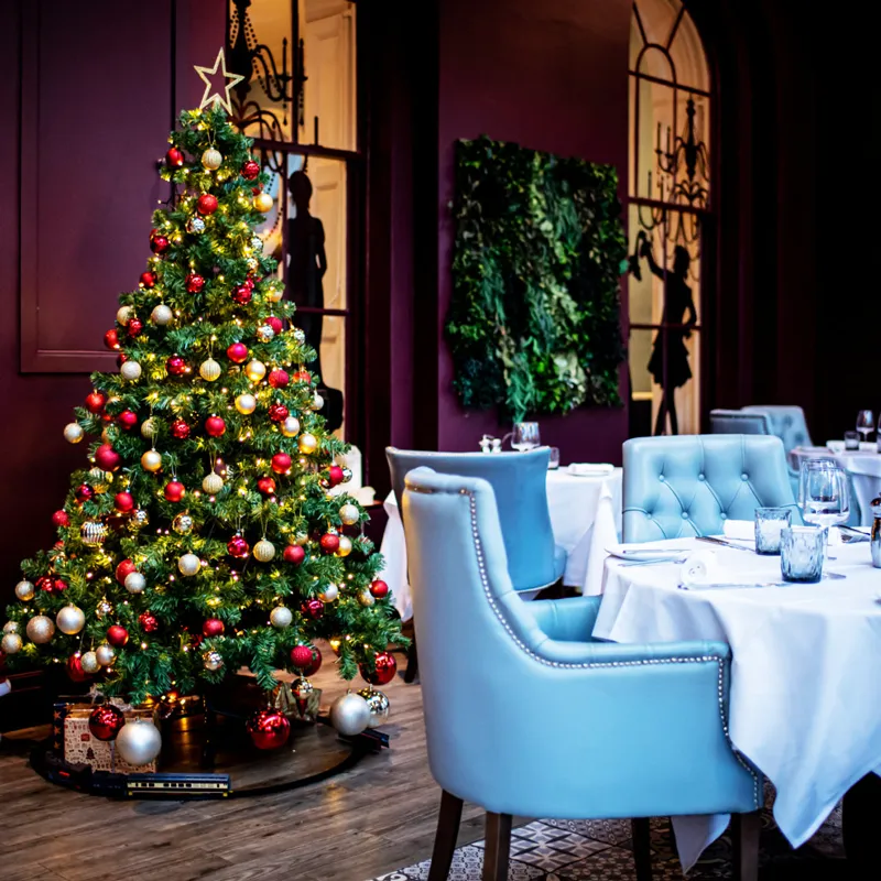 Festive Parties (shared)