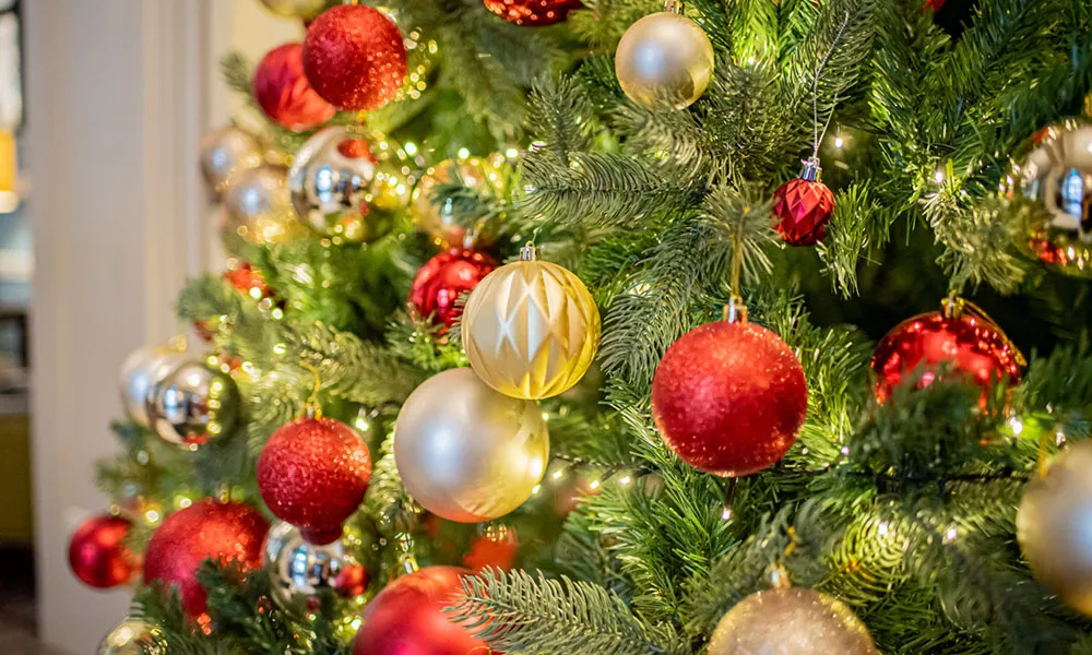 Festive Parties (shared)