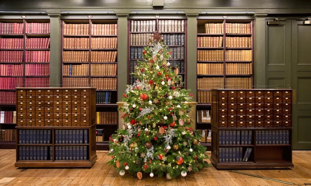 Magical Christmas Wonderland