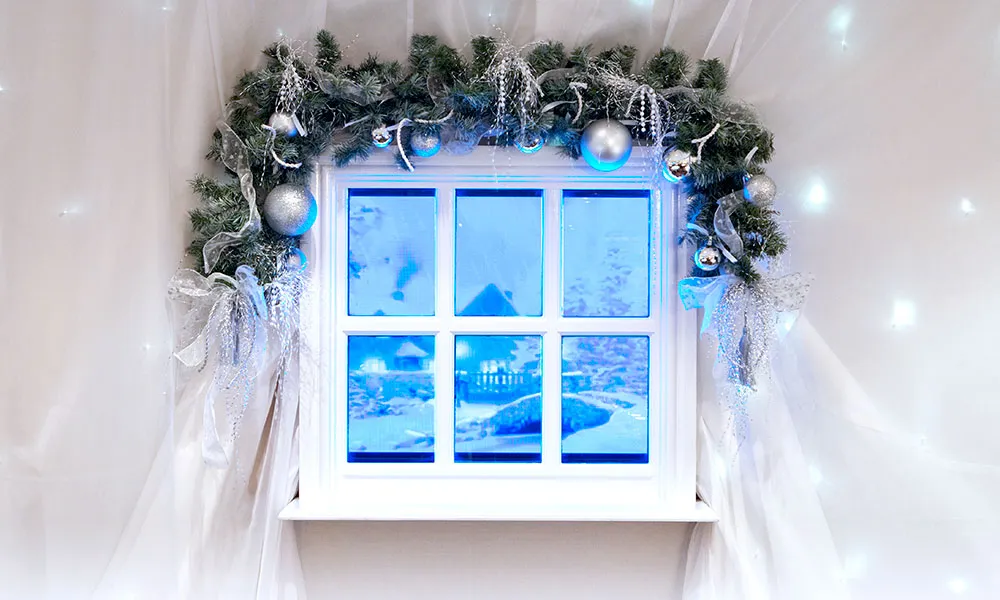 Winter Wonderland Private Party