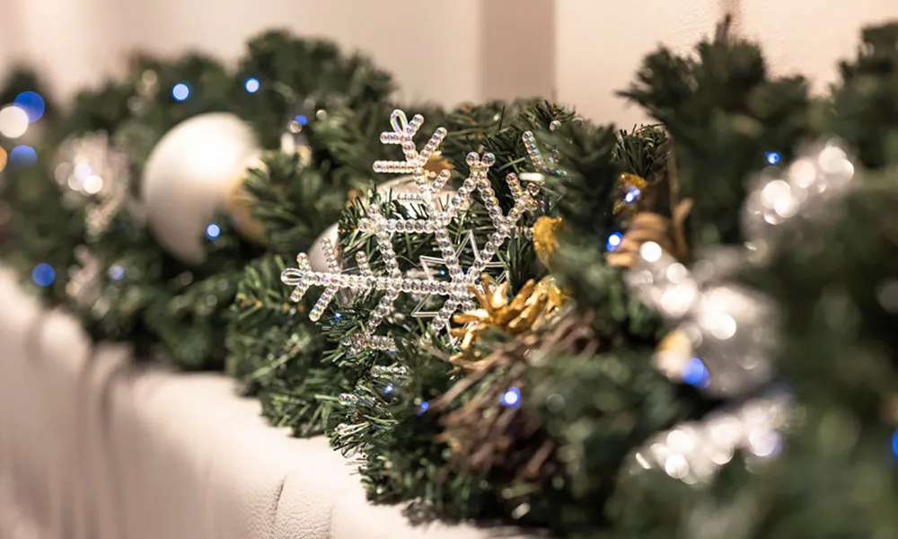 Shared Christmas Party Nights