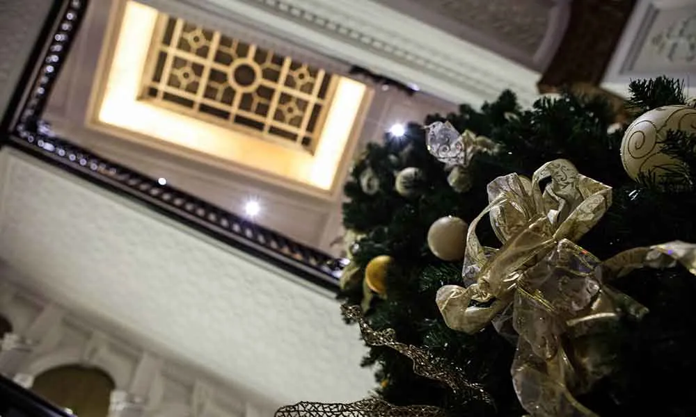 Festive Christmas Party Nights