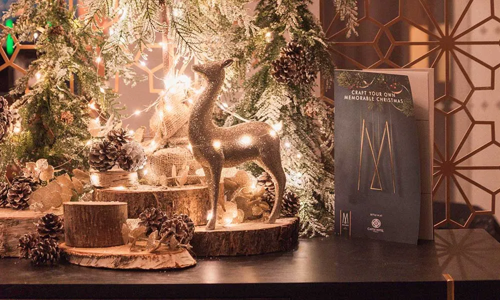 Private Christmas Party Package
