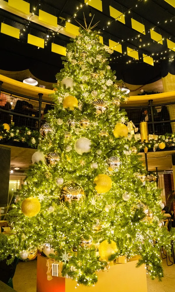 Skylark Private Bar (Evening)