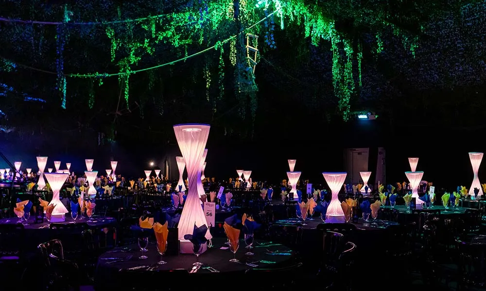 Electric Jungle Street Eats Shared Night