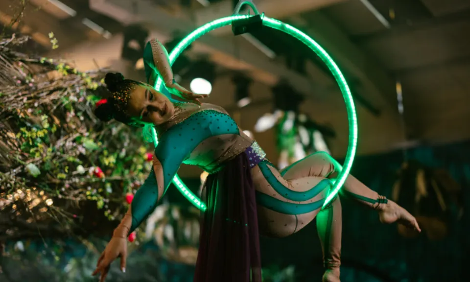 Enchanted Christmas Party