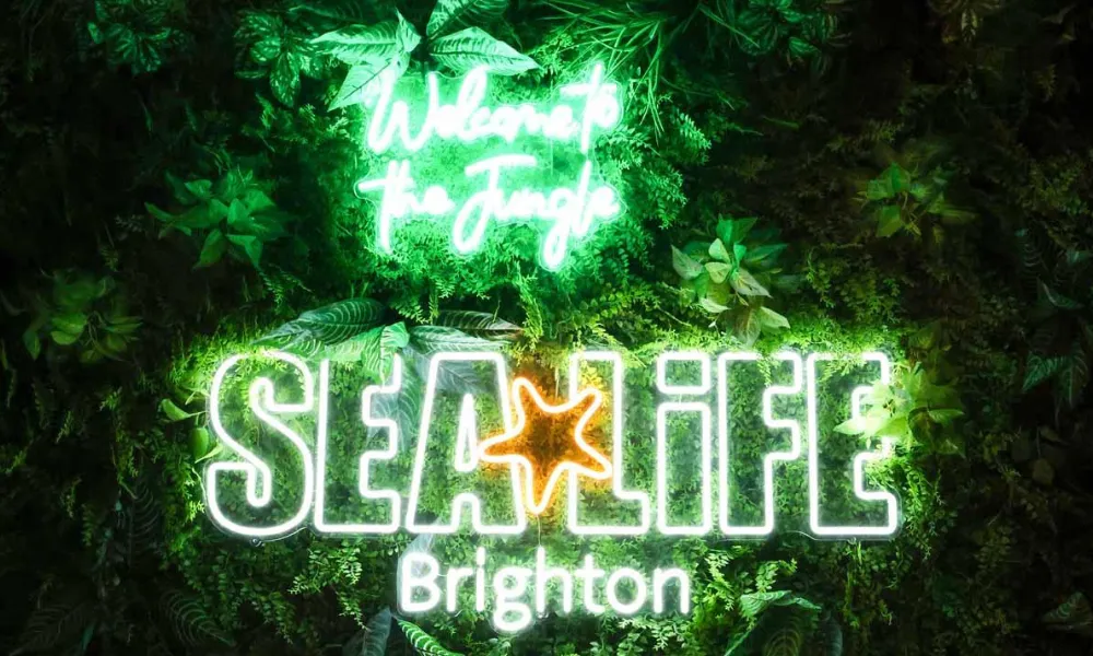 Sea Life Christmas Party (Private Hire)