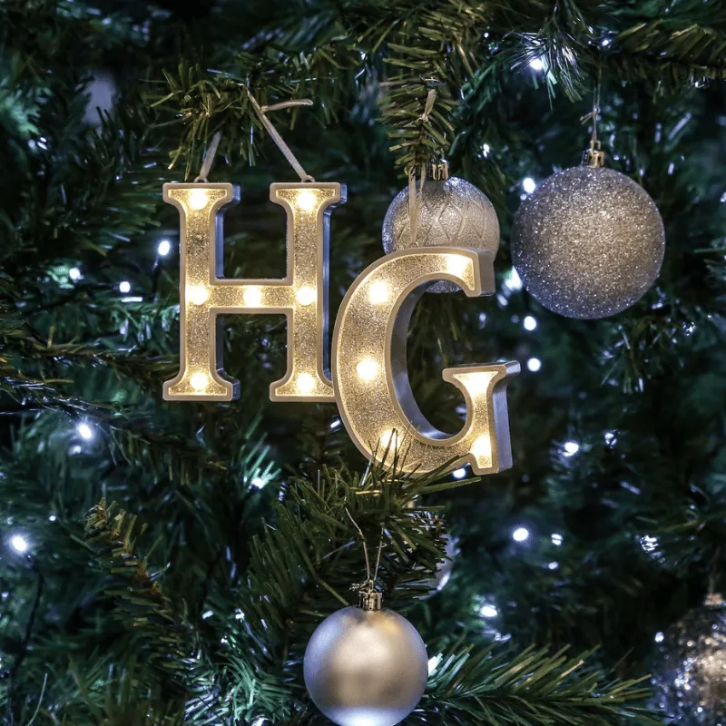 image-Heathland Grove Christmas Party
